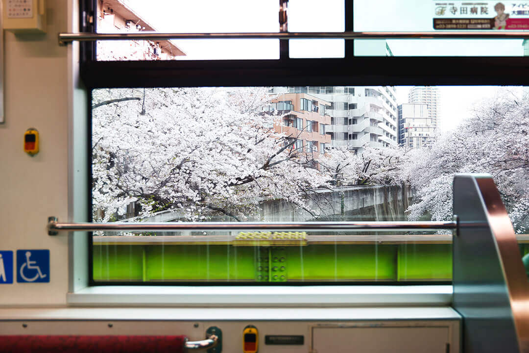 映える撮影スポット