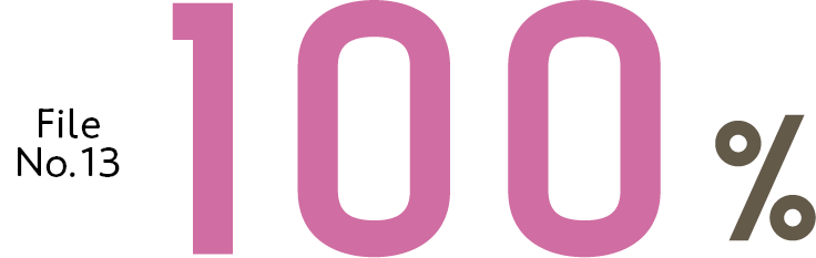 File No.13　100％